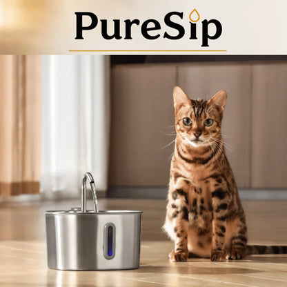 Fontaine à eau PureSip pour chats 🐾