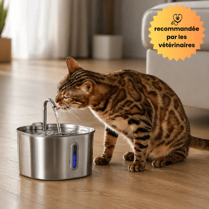 Fontaine à eau PureSip pour chats 🐾